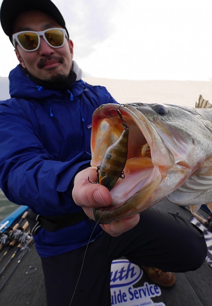 truth ブログ写真 2017/03/24