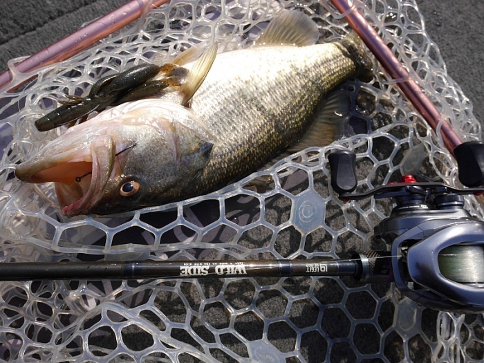 truth  ブログ写真 2017/03/27