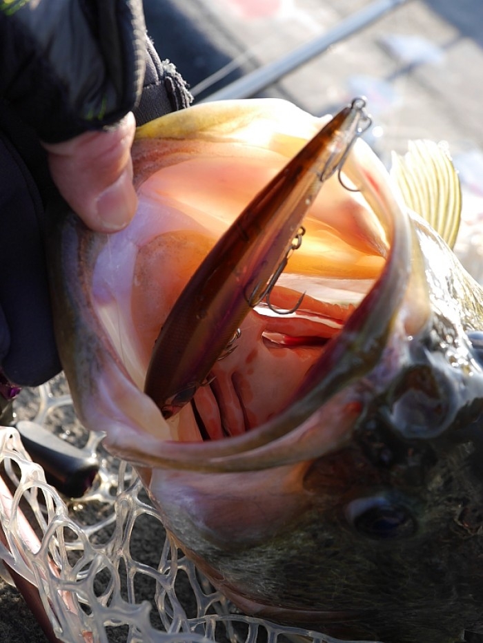 truth  ブログ写真 2017/03/27