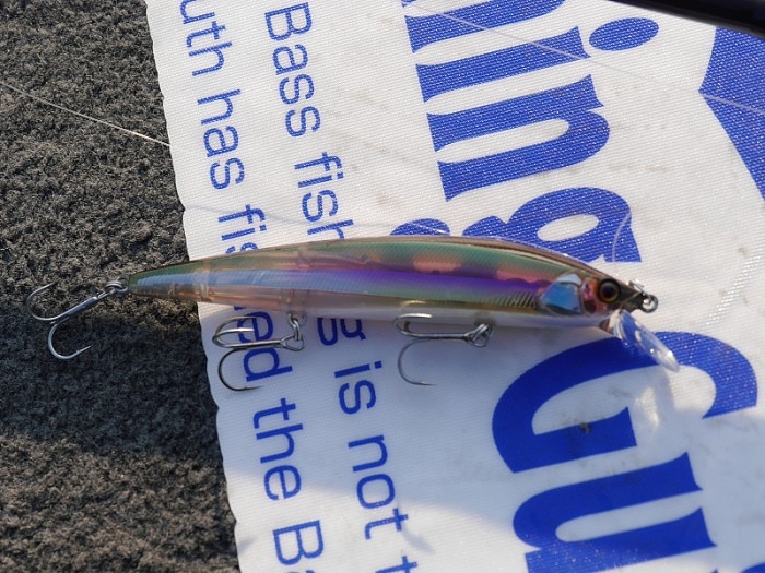 truth  ブログ写真 2017/03/27