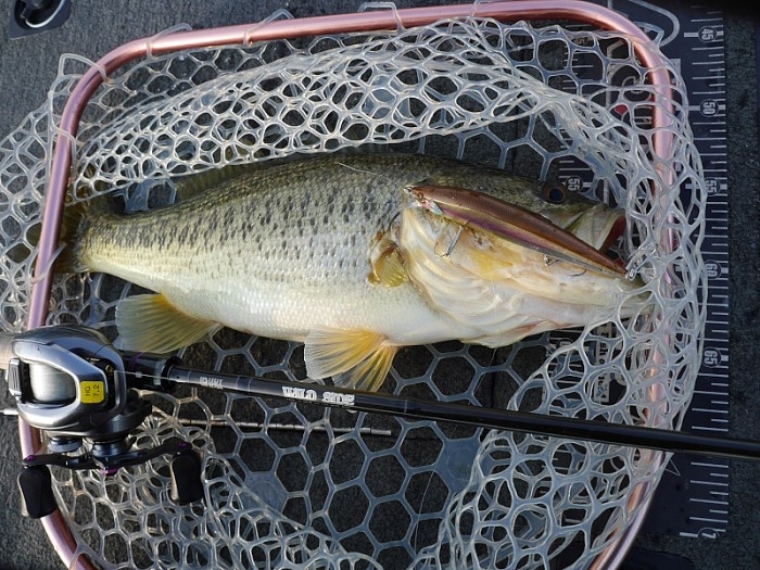 truth  ブログ写真 2017/03/27