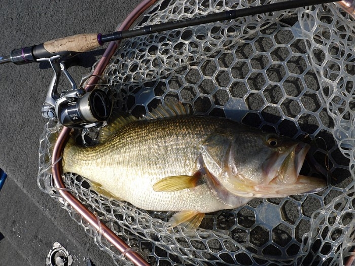 truth  ブログ写真 2017/03/29