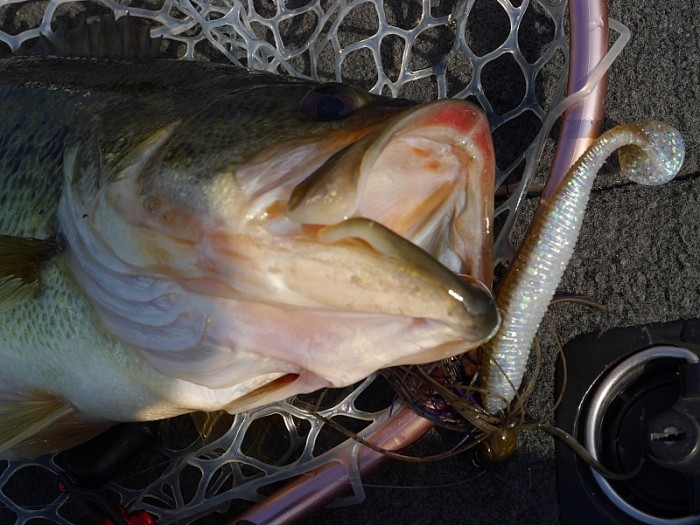 truth  ブログ写真 2017/03/29