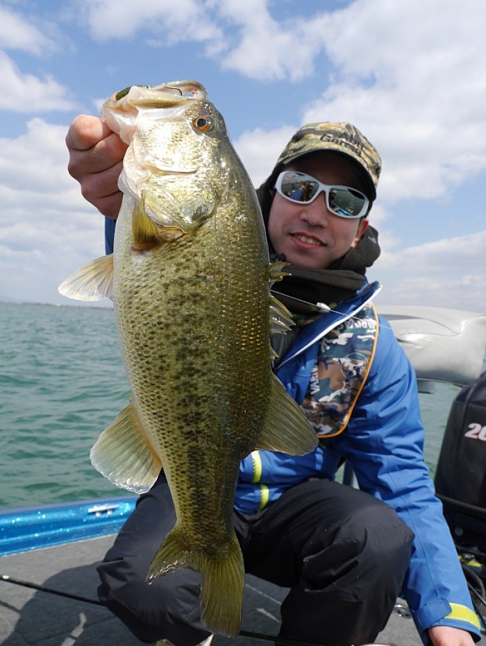 truth  ブログ写真 2017/03/29