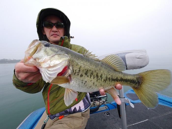 truth  ブログ写真 2017/04/08