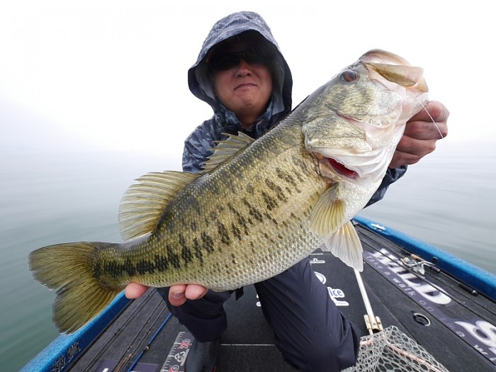 truth  ブログ写真 2017/04/08