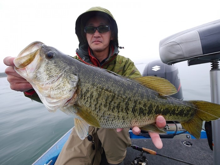 truth  ブログ写真 2017/04/08