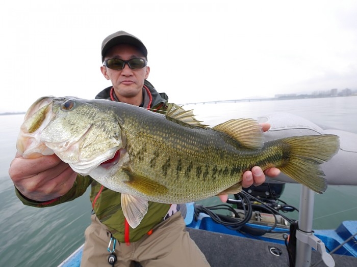 truth  ブログ写真 2017/04/08