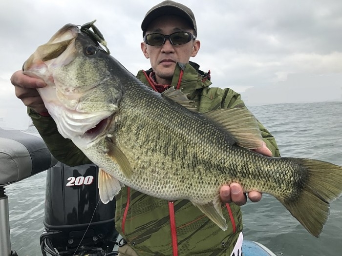 truth  ブログ写真 2017/04/08