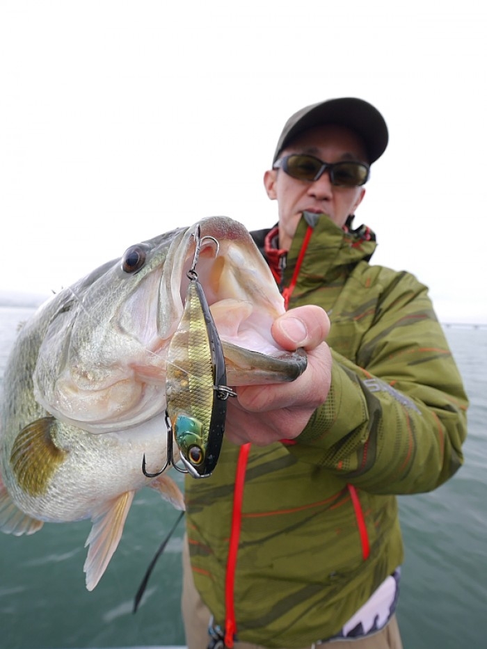 truth  ブログ写真 2017/04/08