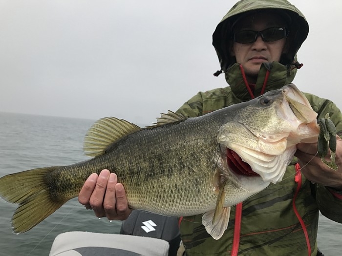 truth  ブログ写真 2017/04/08