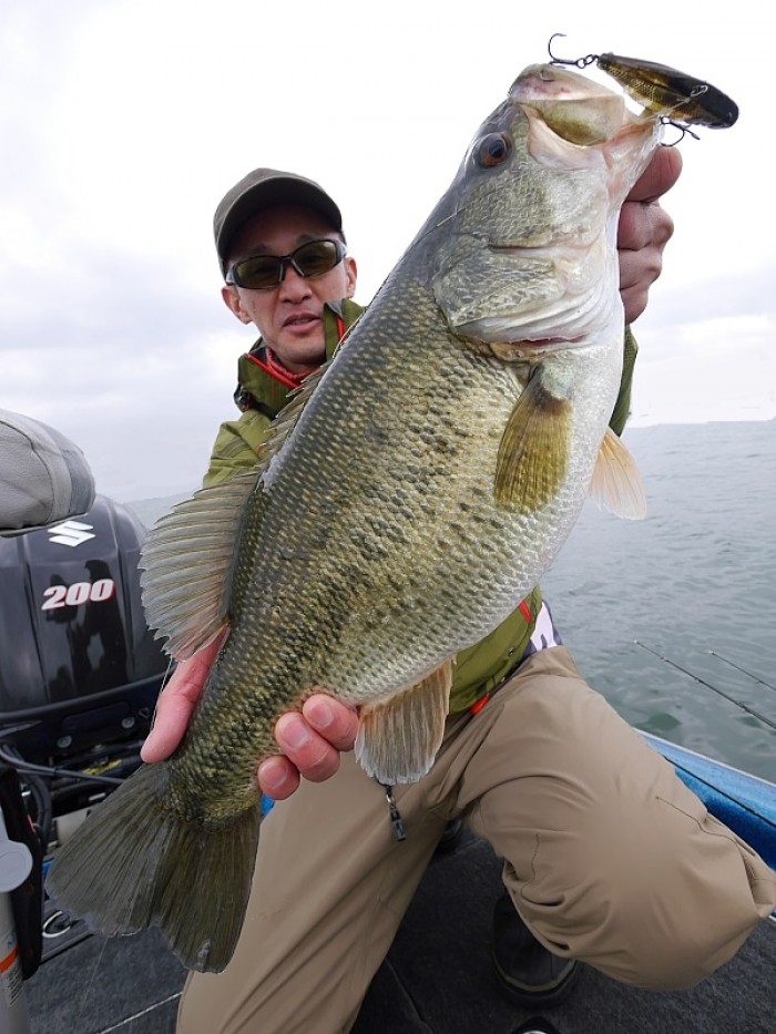 truth  繝悶Ο繧ｰ蜀咏悄 2017/04/08