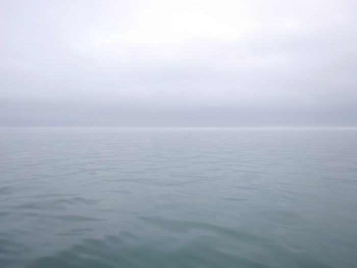 truth  ブログ写真 2017/04/09