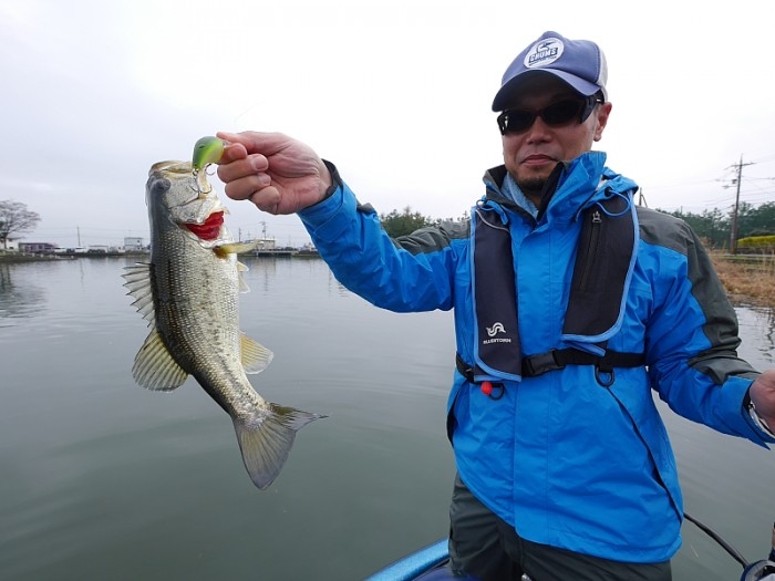 truth  ブログ写真 2017/04/09