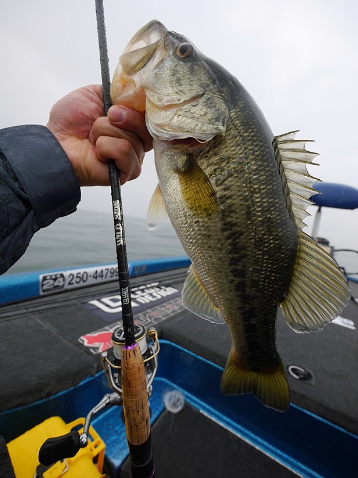 truth  ブログ写真 2017/04/09