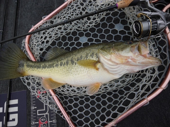 truth  繝悶Ο繧ｰ蜀咏悄 2017/04/09