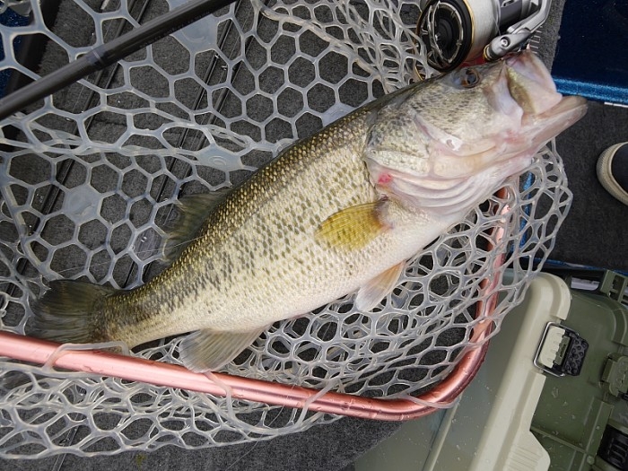 truth  ブログ写真 2017/04/11