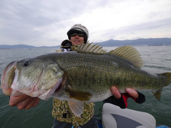 truth  ブログ写真 2017/04/11