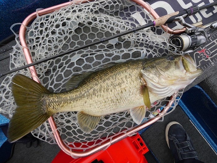 truth  ブログ写真 2017/04/12