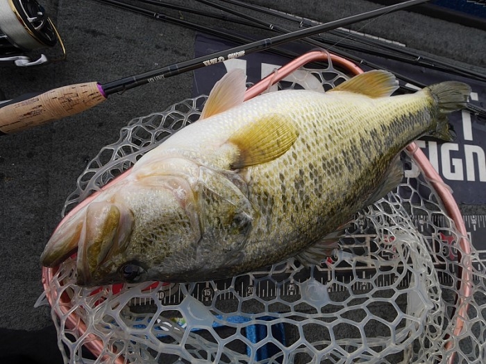 truth  ブログ写真 2017/04/12