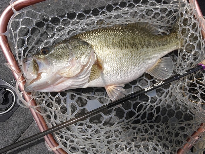 truth  ブログ写真 2017/04/12