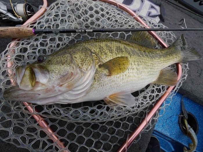 truth  ブログ写真 2017/04/12