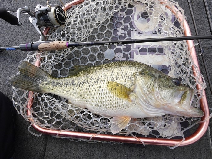 truth  ブログ写真 2017/04/12