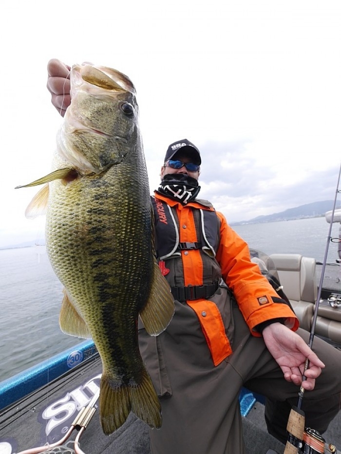 truth  繝悶Ο繧ｰ蜀咏悄 2017/04/12