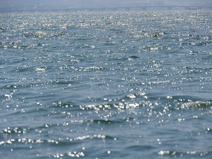 truth  ブログ写真 2017/04/14