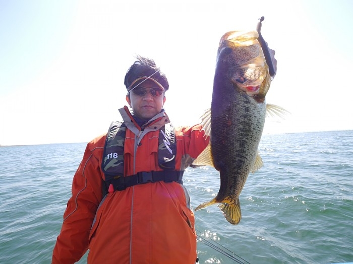 truth  ブログ写真 2017/04/14