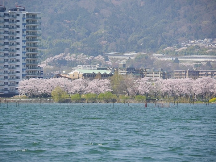 truth  ブログ写真 2017/04/14