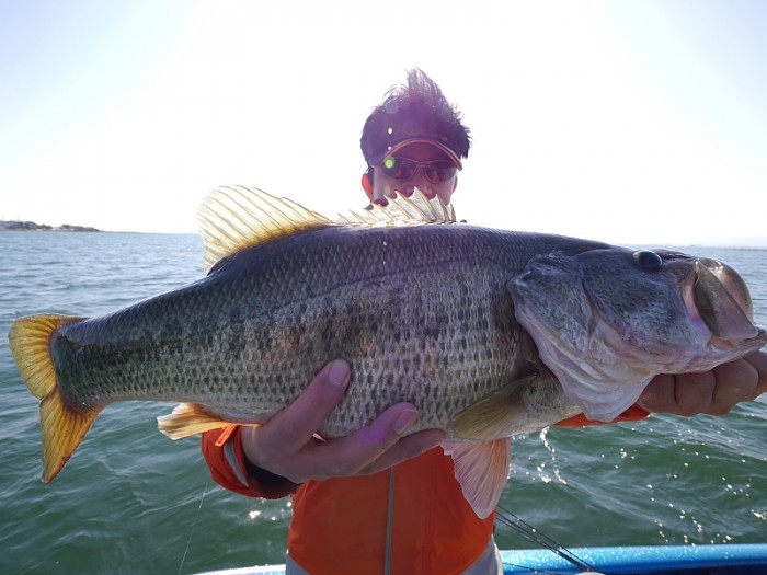 truth  ブログ写真 2017/04/14