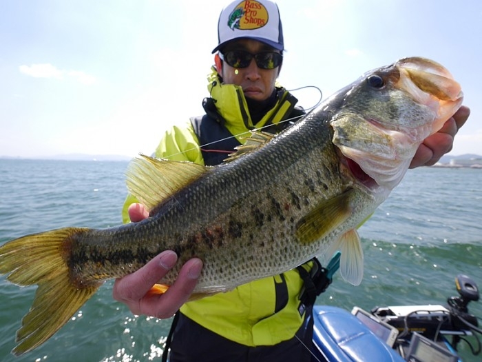 truth  繝悶Ο繧ｰ蜀咏悄 2017/04/14