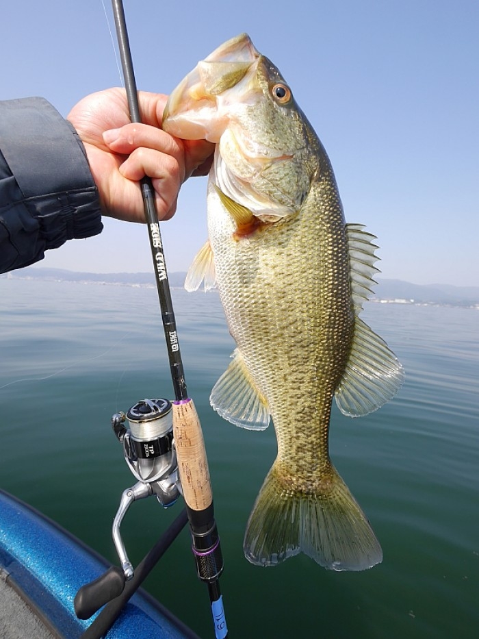 truth ブログ写真 2017/04/15