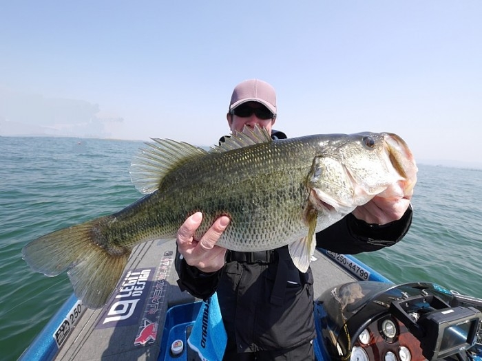 truth ブログ写真 2017/04/15