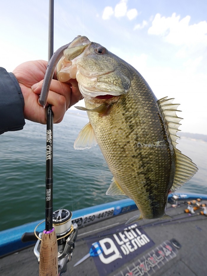 truth ブログ写真 2017/04/16