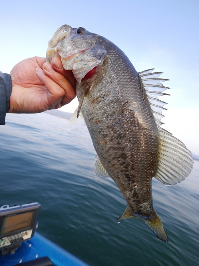 truth ブログ写真 2017/04/16