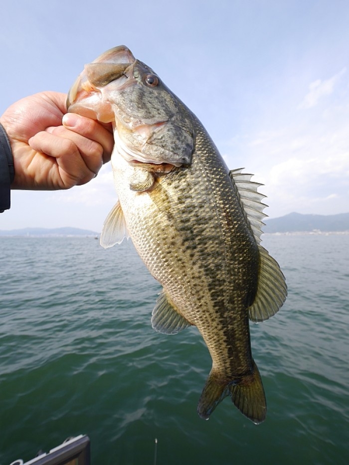 truth ブログ写真 2017/04/16