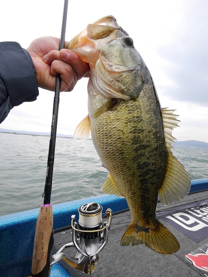 truth ブログ写真 2017/04/16