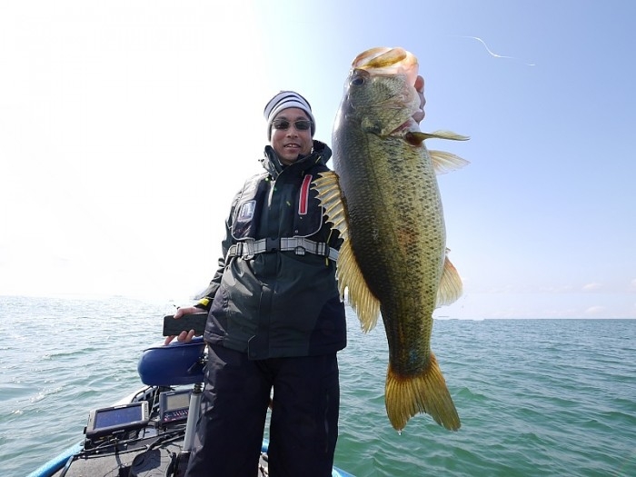 truth ブログ写真 2017/04/16