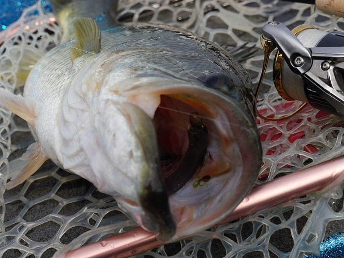 truth ブログ写真 2017/04/17