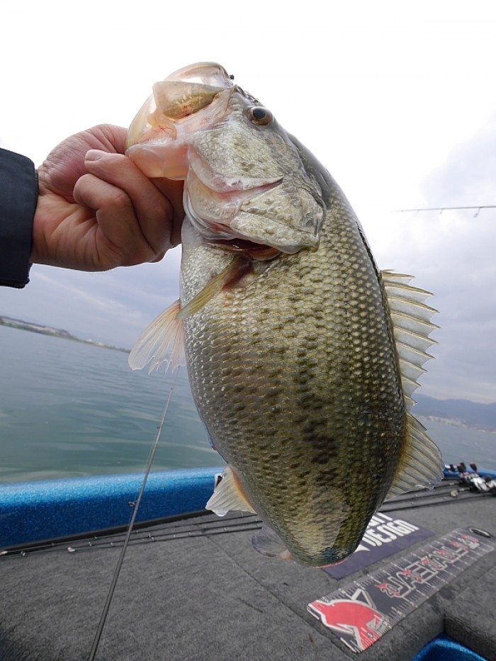 truth ブログ写真 2017/04/17