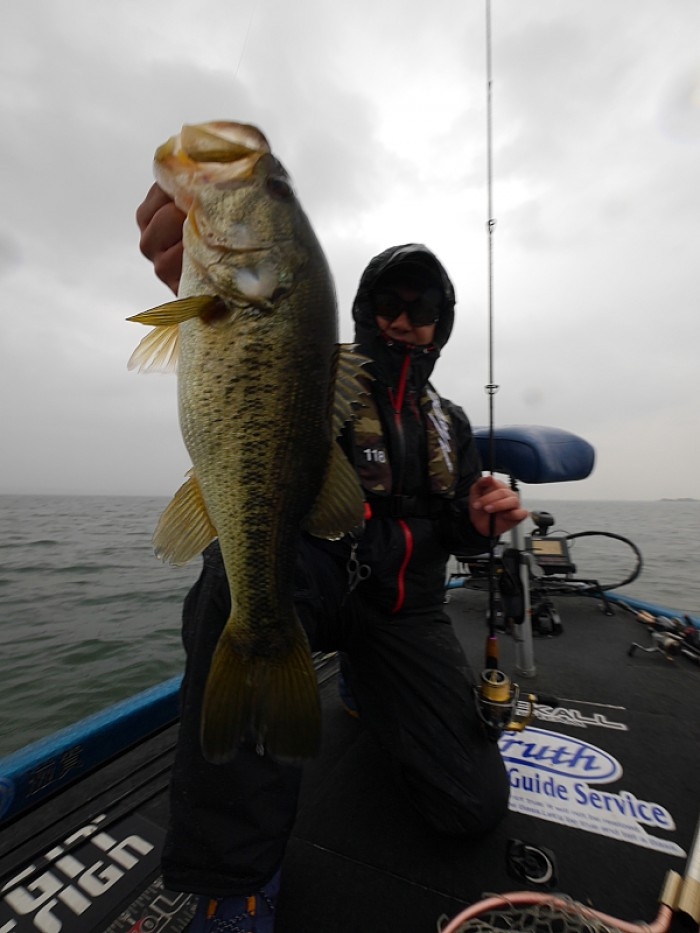 truth ブログ写真 2017/04/17