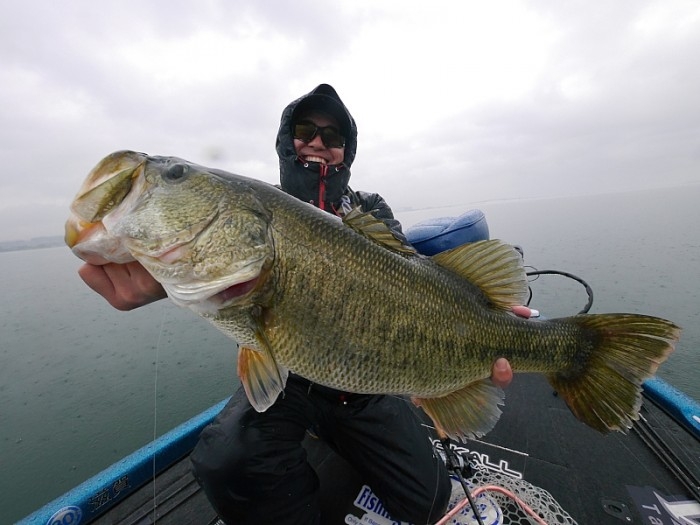 truth ブログ写真 2017/04/17