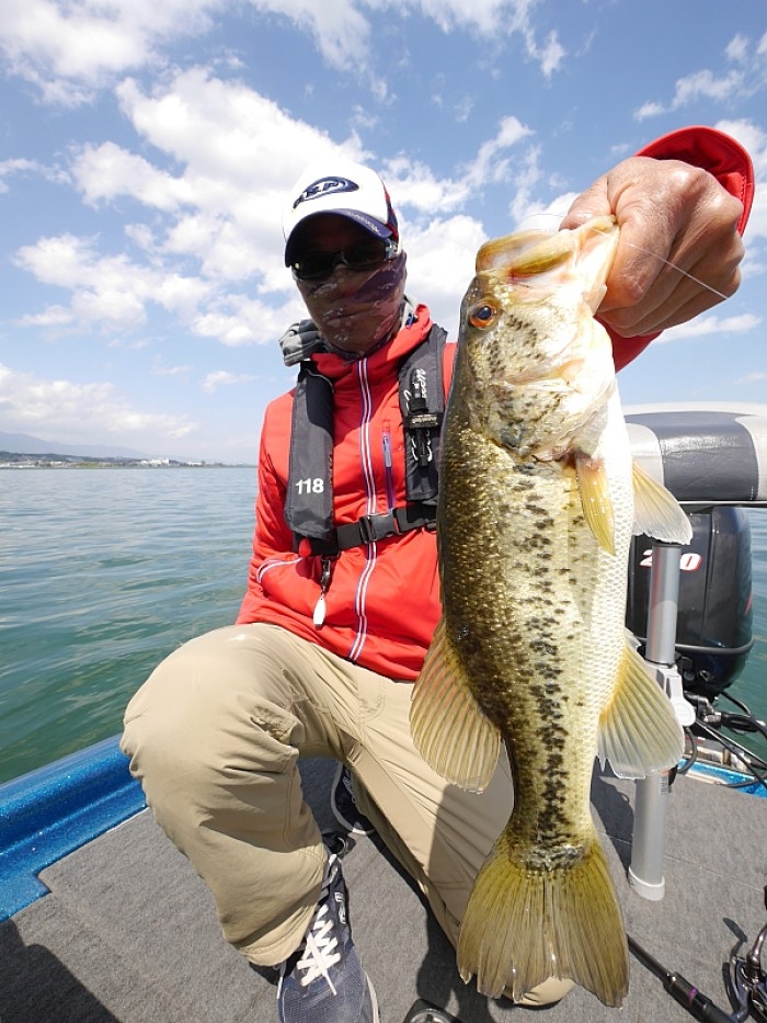 truth ブログ写真 2017/04/19