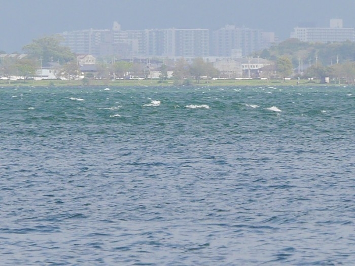 truth ブログ写真 2017/04/19