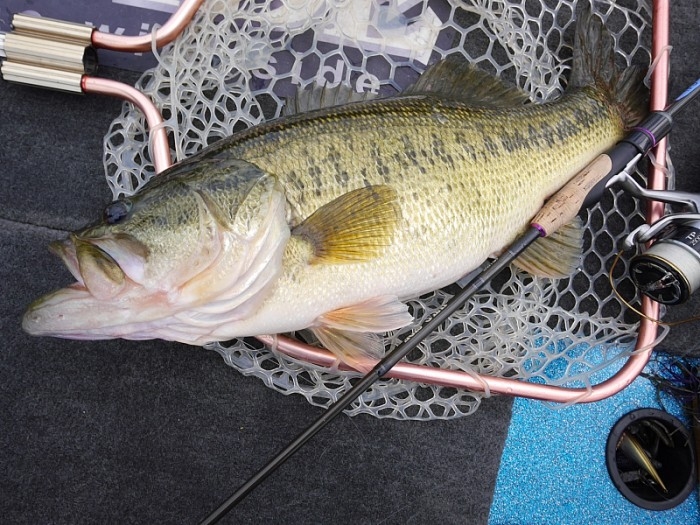 truth ブログ写真 2017/04/19