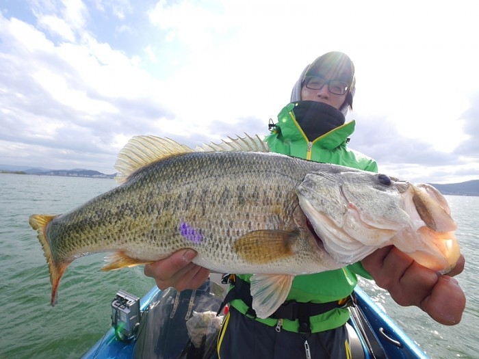 truth ブログ写真 2017/04/19