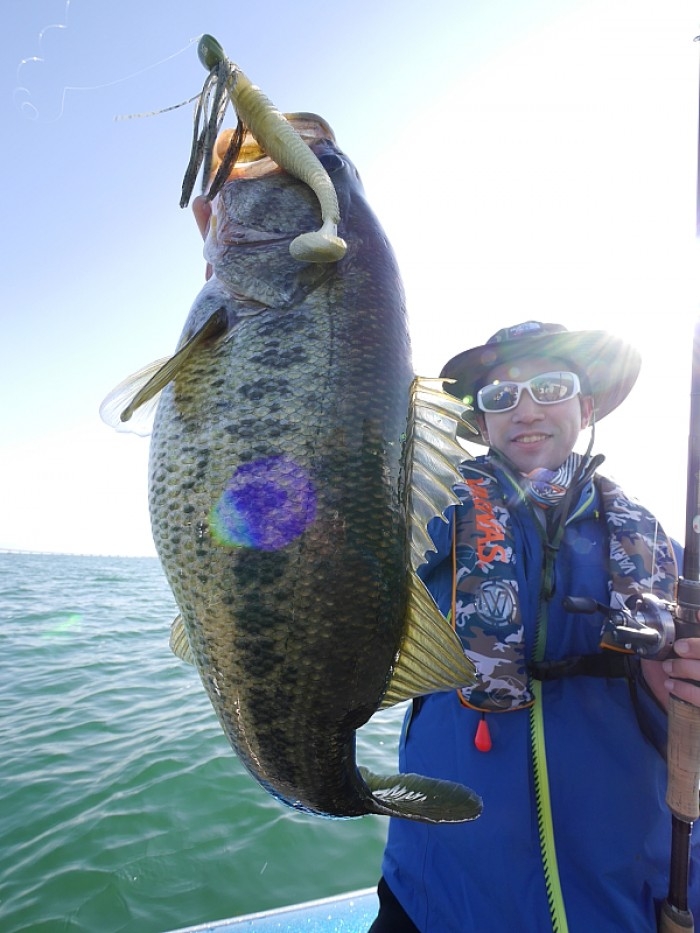 truth ブログ写真 2017/04/21