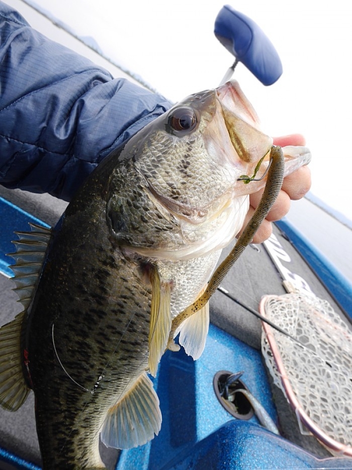 truth ブログ写真 2017/04/21